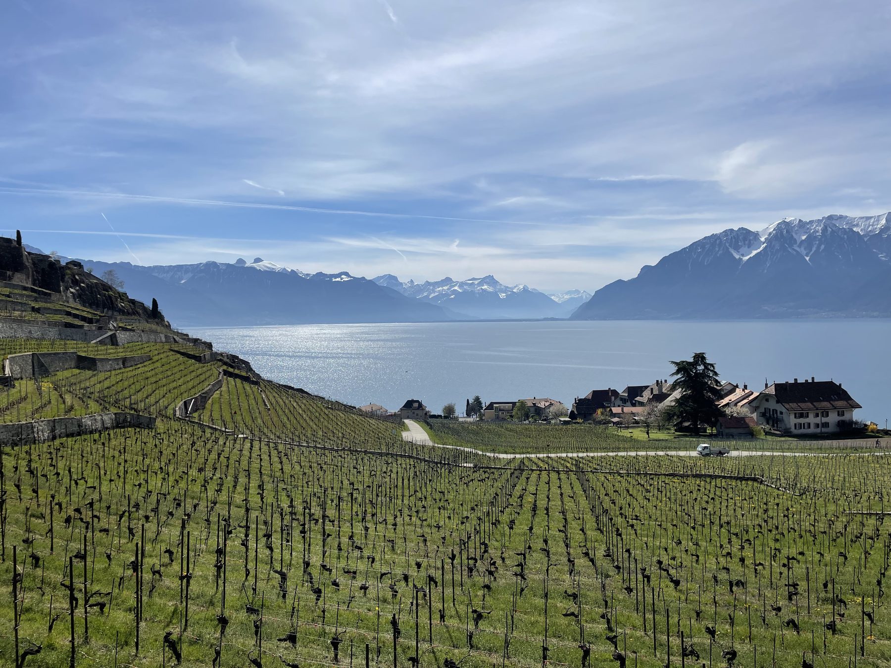 Stone-walled Lavaux vineyard terraces descending towards Lake Geneva, with sunlight on the water and a snow-lined Alpine horizon.