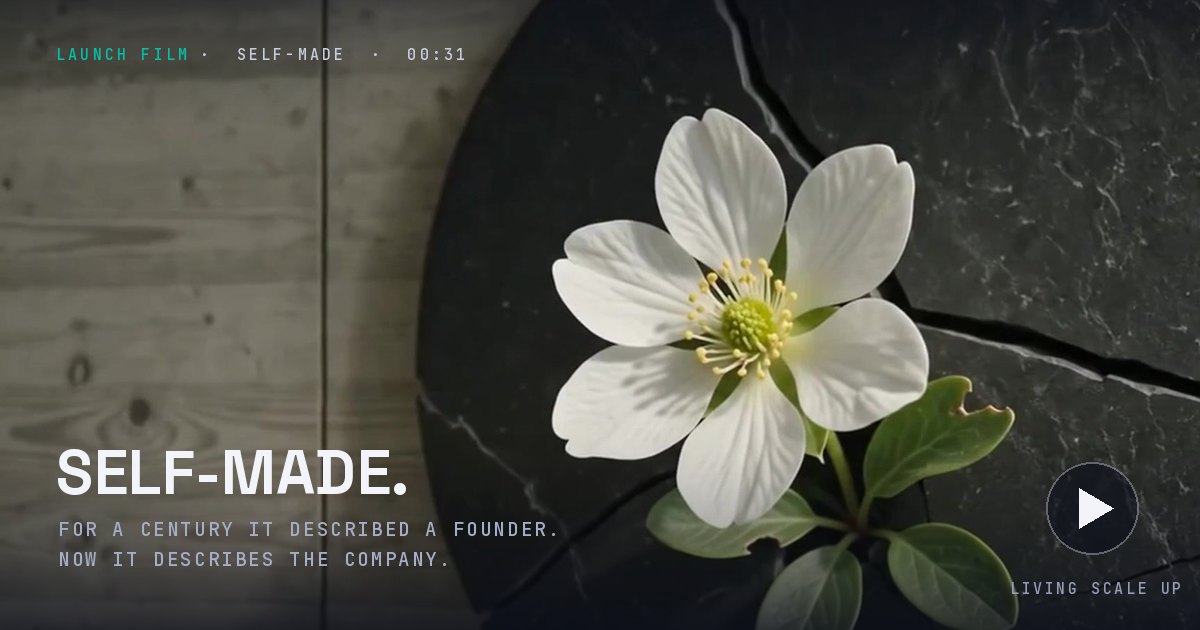 SELF-MADE: a white blossom emerges through fractured black stone. Go to the launch film.